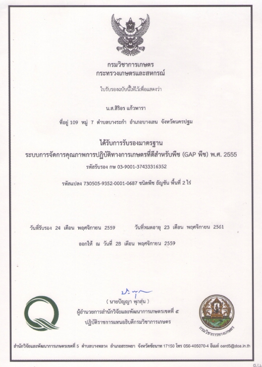 GAP сертификат на анчан.jpg